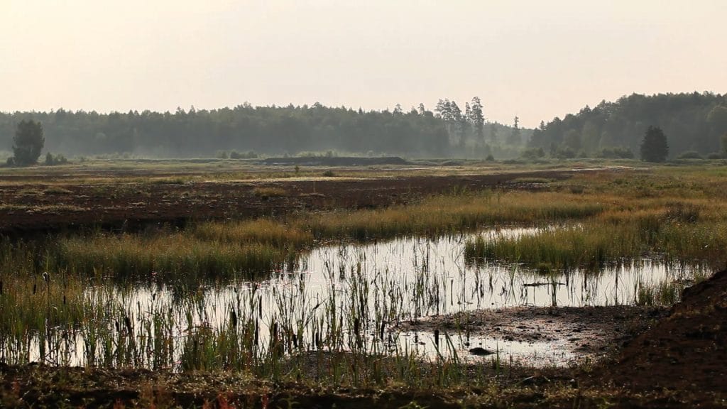 International Peatland Society holds symposium - Klasmann-Deilmann