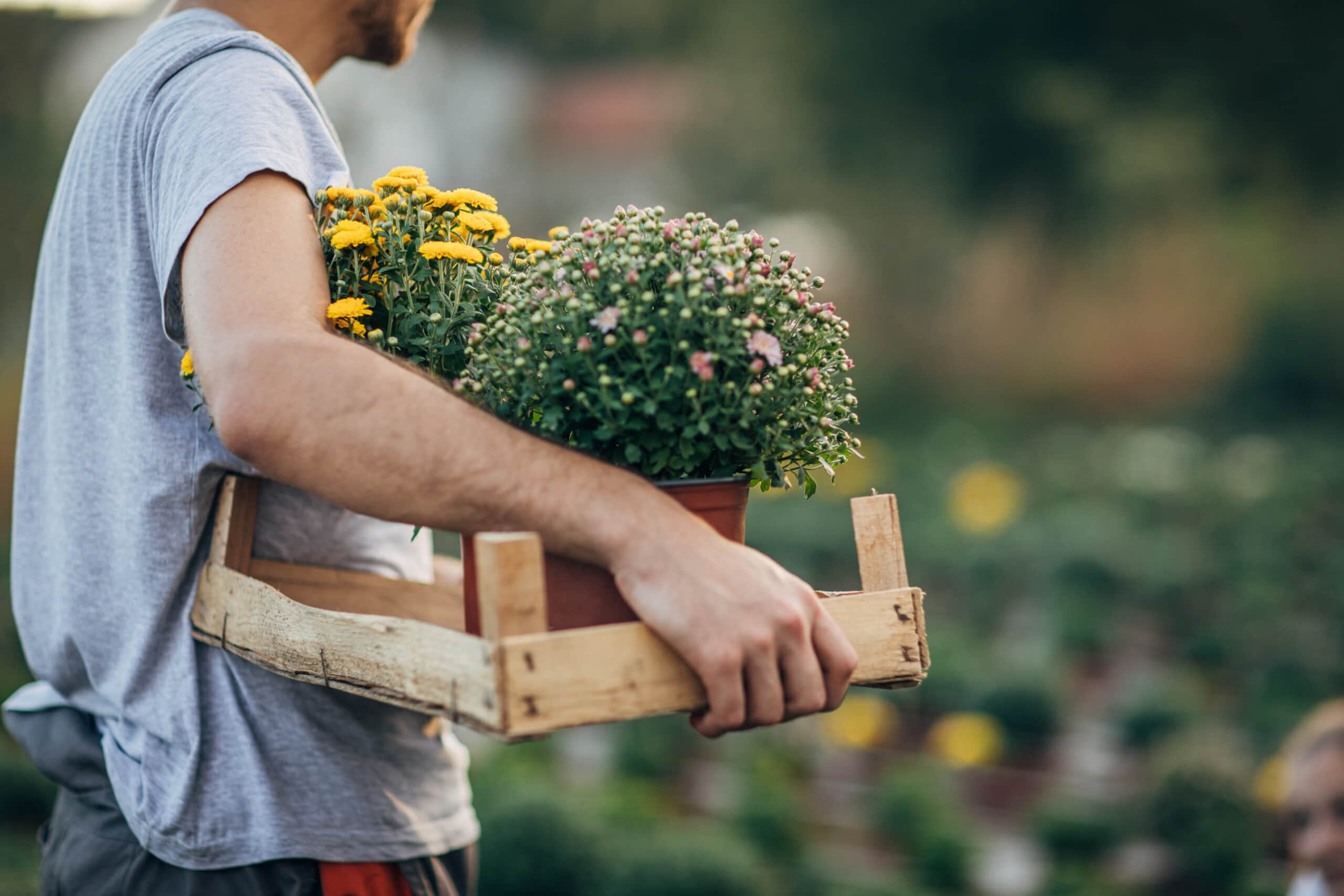 Man working on flower farm blank