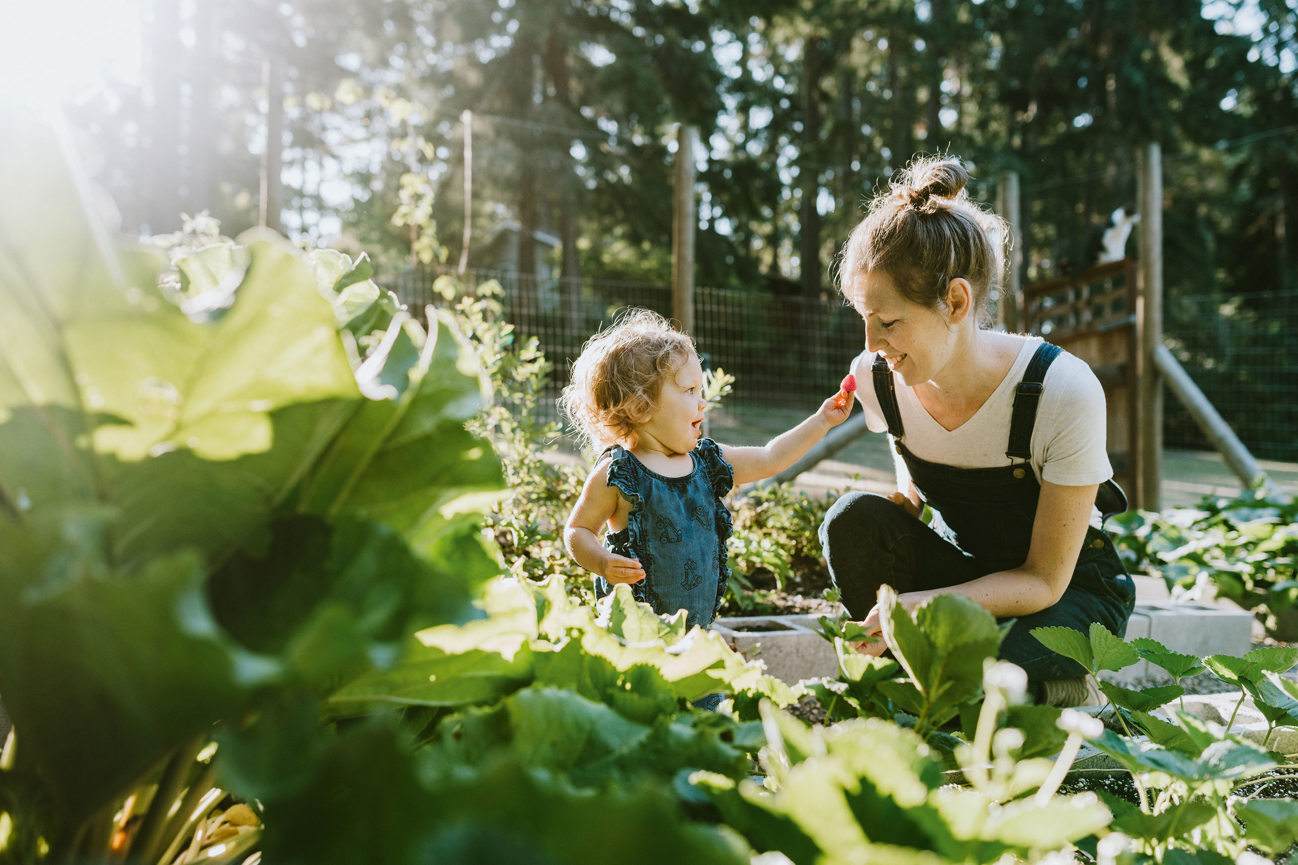 florabella_mother_daughter_pick_strawberries_in_garden blank