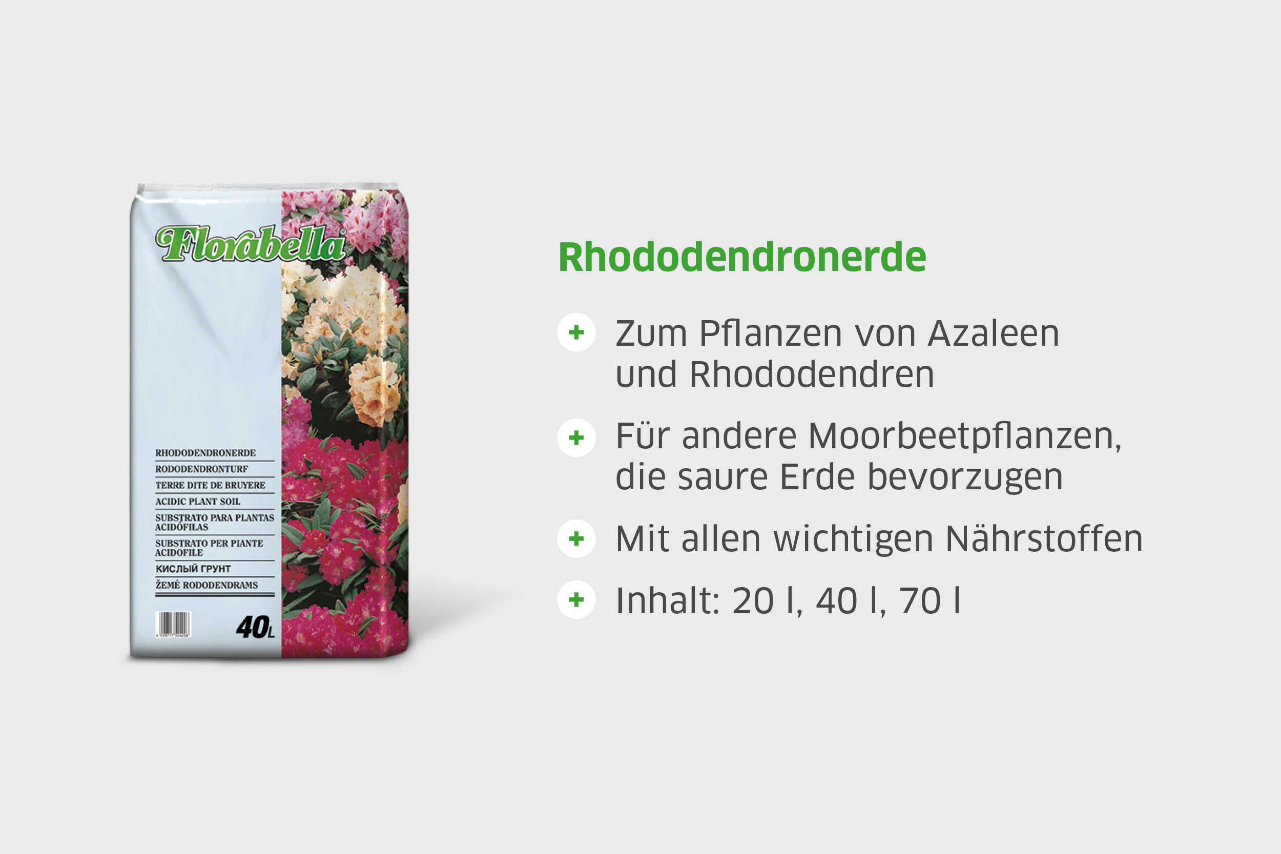 florabella_rhododendronerde blank