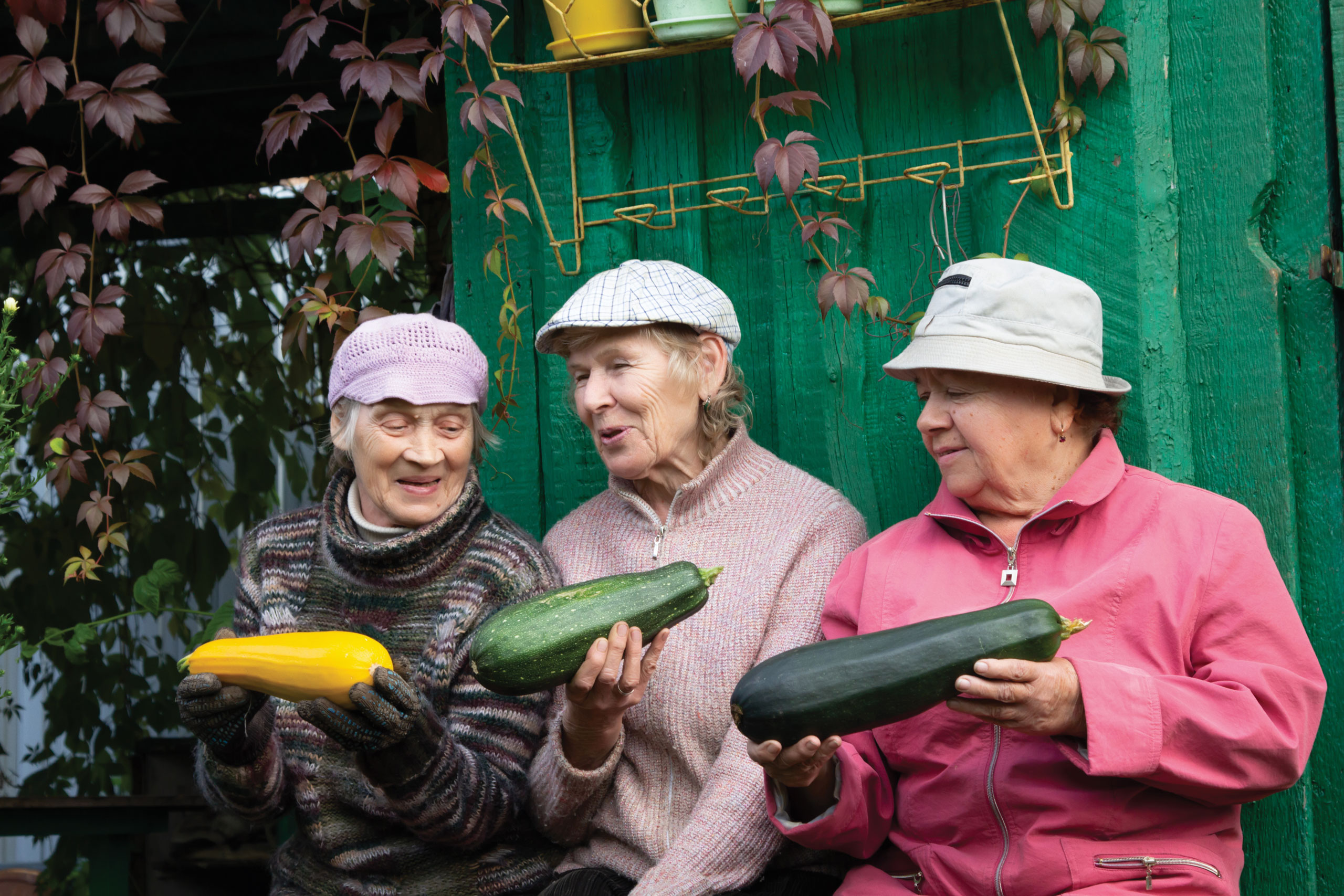 florabella_women_cucumber blank