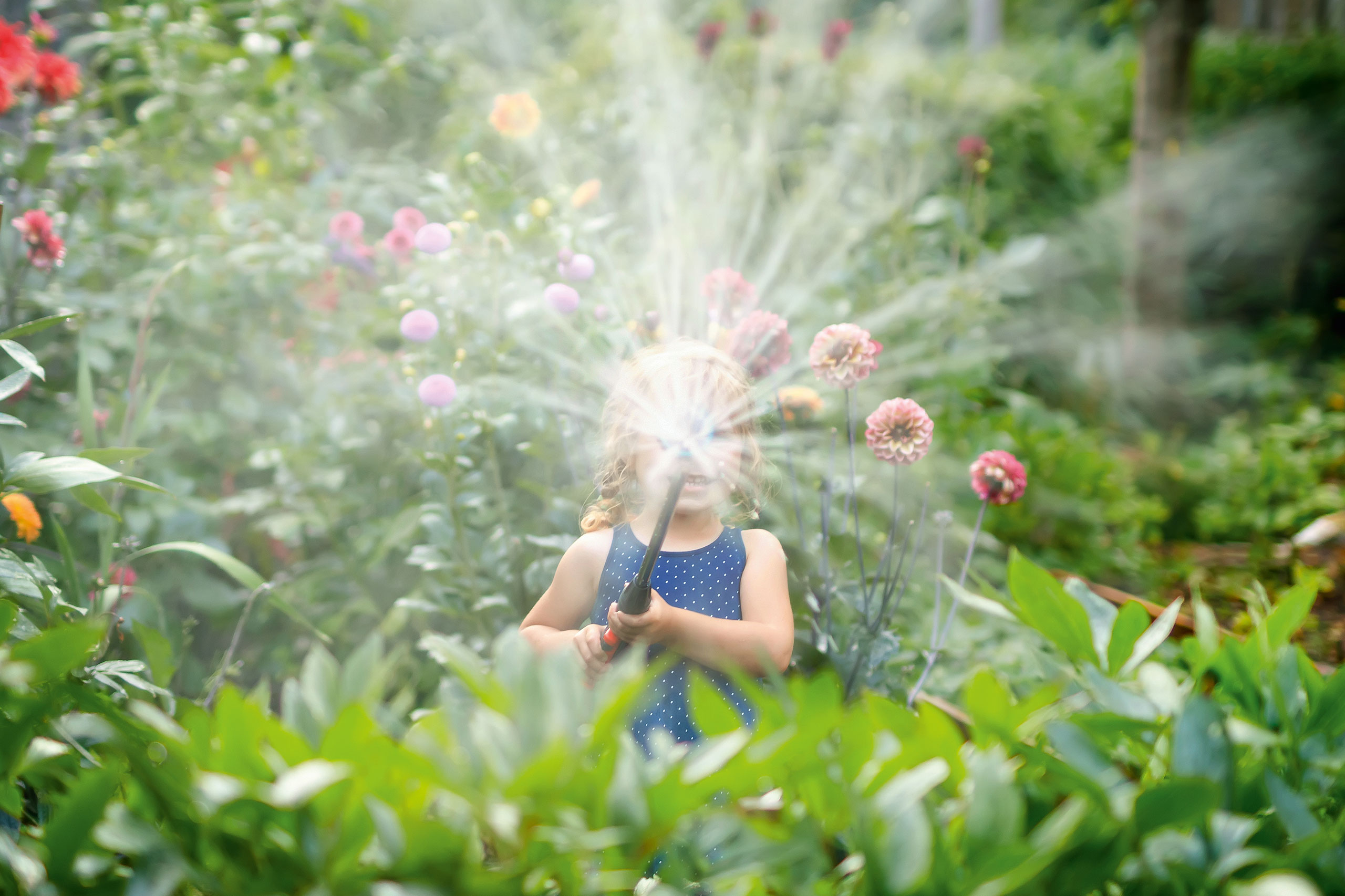 header_florabella blank